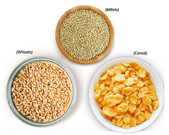 Food Sources for Protein